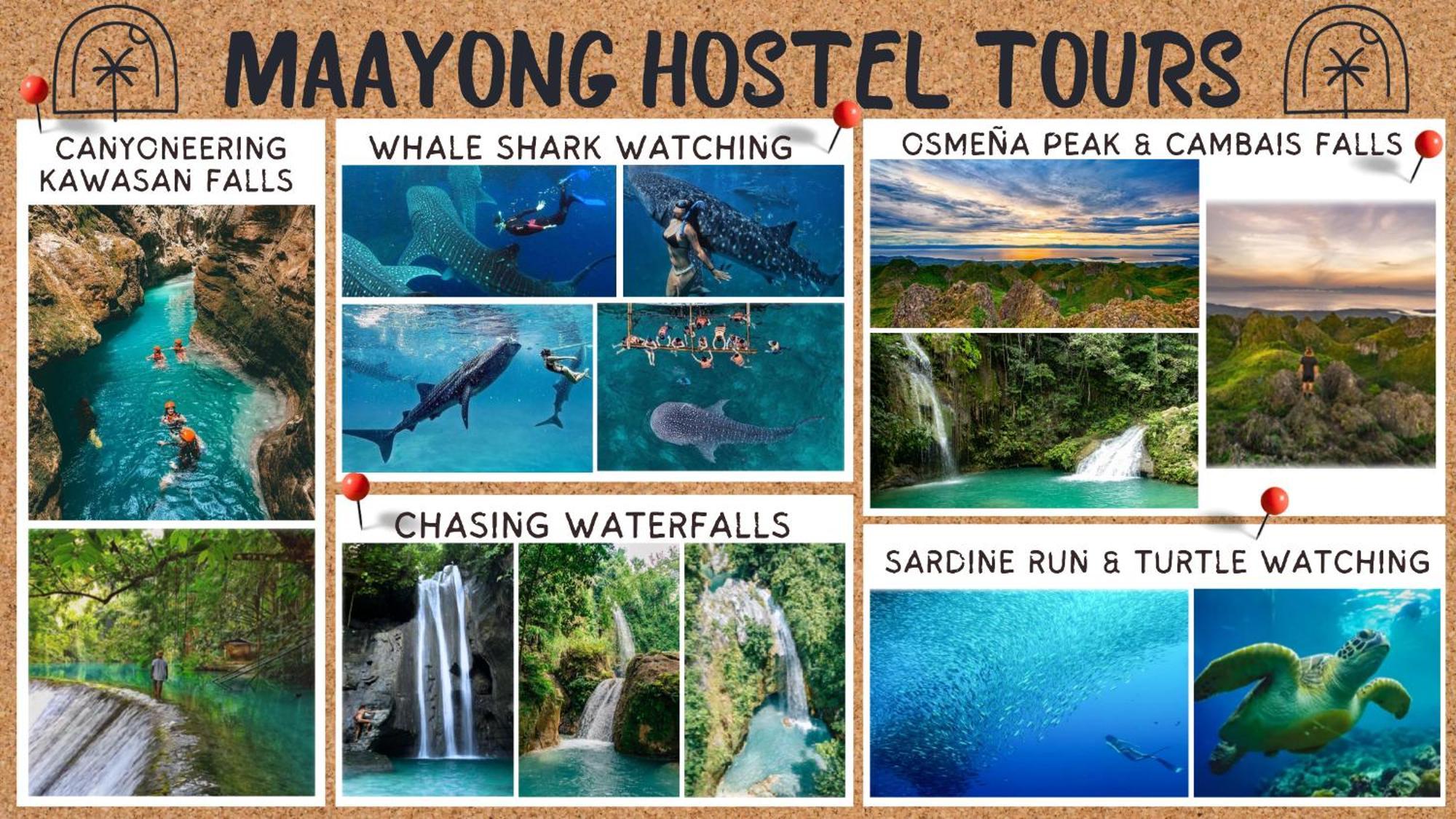 Maayong Hostel (Adults Only) Moalboal Eksteriør billede